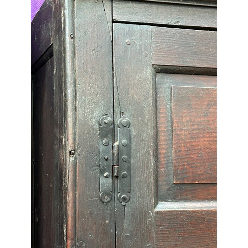 351 - A very large antique oak Housekeepers cupboard from a Norfolk country house. The doors each with fou... 