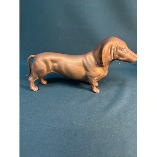 325F - Large solid brass Dachshund dog - 30cm