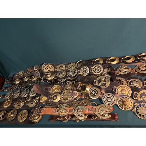 360 - 20 martingale & display straps with large number of Victorian and early 20th century horse brasses. ... 