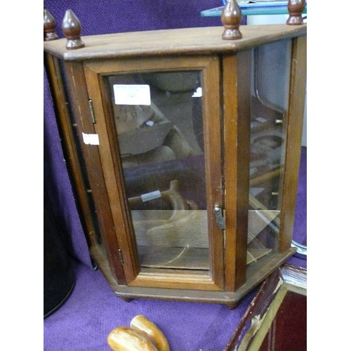 92 - SMALL WOODEN WALL MOUNTED DISPLAY CASE