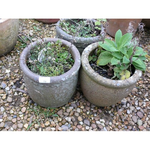 381 - THREE STONEWARE PLANTERS WITH PLANTS