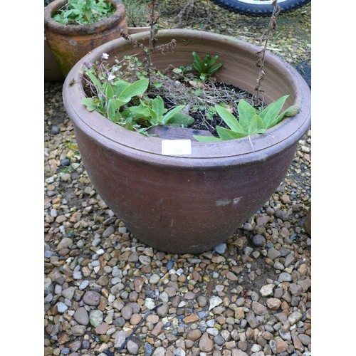 380 - LARGE STONEWARE POT WITH PLANTS