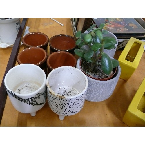 461 - MINIATURE POTS TO INCLUDE 3 X YELLOW, 2 X POTTERY AND TERRACOTTA