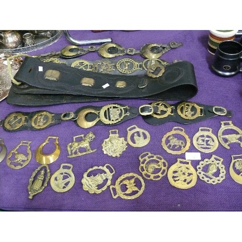 148 - A LARGE SELECTION OF VARIOUS HORSE BRASSES AND LEATHERS