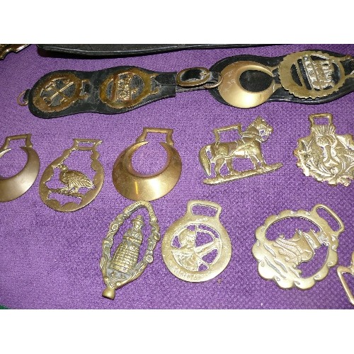 148 - A LARGE SELECTION OF VARIOUS HORSE BRASSES AND LEATHERS