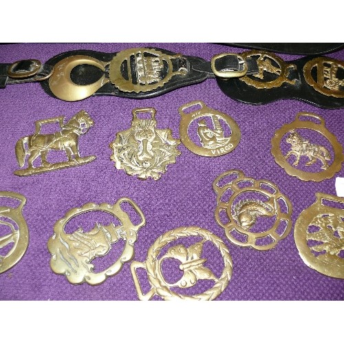 148 - A LARGE SELECTION OF VARIOUS HORSE BRASSES AND LEATHERS