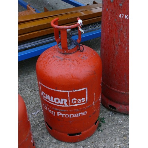 533 - 13KG CALOR PROPANE BOTTLE