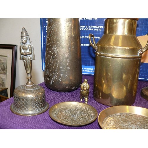 134 - A NICE SELECTION OF BRASS ITEMS TO INCLUDE A DOG, MILK CHURN, VASE, CANDLESTICK AND VARIOUS DISHES