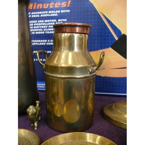 134 - A NICE SELECTION OF BRASS ITEMS TO INCLUDE A DOG, MILK CHURN, VASE, CANDLESTICK AND VARIOUS DISHES