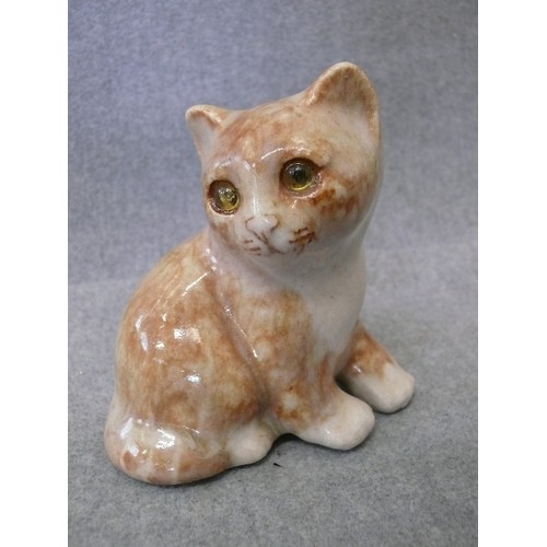 150 - A LARGE COLLECTION OF DECORATIVE CERAMIC CAT ORNAMENTS