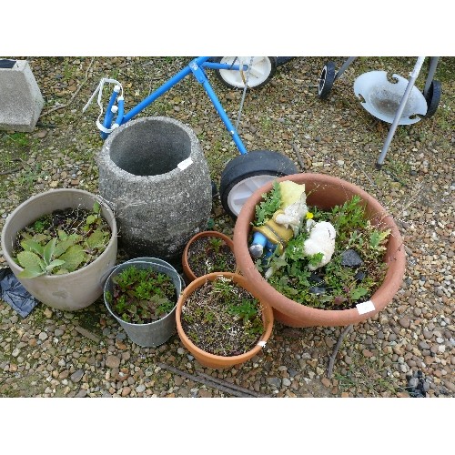 427 - A LARGE CONCRETE BARREL PLANTER PLUS 3 TERRACOTTA PLANT POTS AND 2 FURTHER PLANT POTS