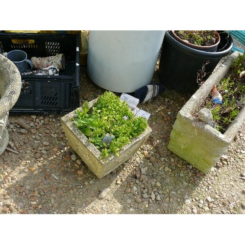 429 - A LARGE SELECTION OF CONCRETE AND PLASTIC PLANT POTS AND GARDEN ORNAMENTS PLUS A WATER BUTT