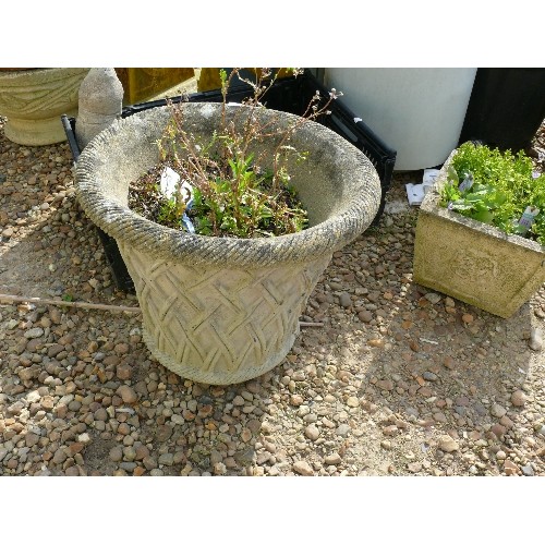 429 - A LARGE SELECTION OF CONCRETE AND PLASTIC PLANT POTS AND GARDEN ORNAMENTS PLUS A WATER BUTT