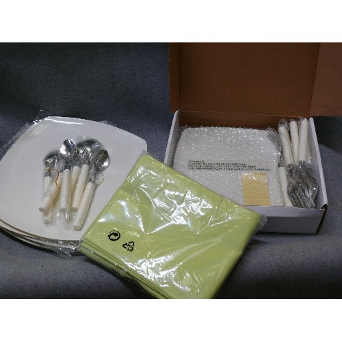 107 - A SET OF PLASTIC PLATES AND CUTLERY PICNICWARE PLUS NEW NAPKINS