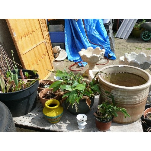 301 - A SELECTION OF PLANT POTS INCLUDING TERRACOTTA