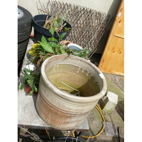 301 - A SELECTION OF PLANT POTS INCLUDING TERRACOTTA