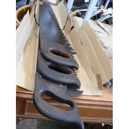 213 - TREE SAWS 1 X 46