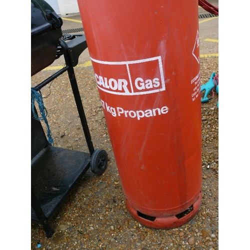 462 - PROPANE BOTTLE 47KG