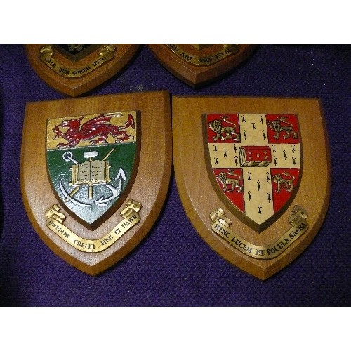 209 - 5 VINTAGE WOODEN SHIELD UNIVERISTY WALL PLAQUES