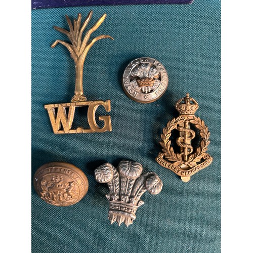 101 - Badges - Welsh interest, including Welsh Guards shoulder title, Prince of Wales own regiment badge, ... 
