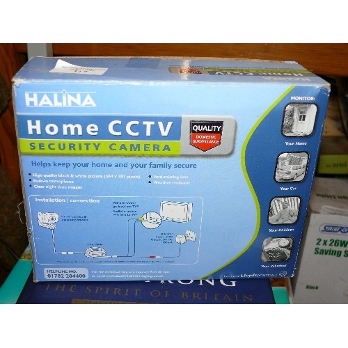 317 - HALINA HOME CCTV SECURITY CAMERA