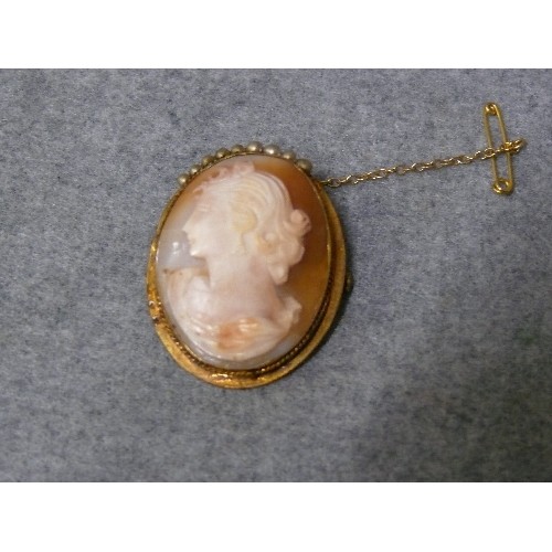 32 - SHELL CAMEO BROOCH SET IN GOLD WITH SAFETY CHAIN UNMARKED WEIGHT 8.52gr