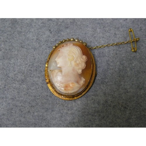 32 - SHELL CAMEO BROOCH SET IN GOLD WITH SAFETY CHAIN UNMARKED WEIGHT 8.52gr