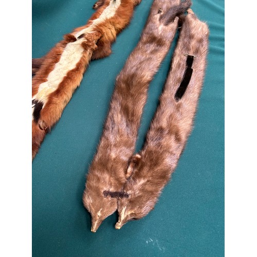 338 - early vintage Mink collars with Ermine lining  an amber coloured lucite chain clasp this is haute co... 