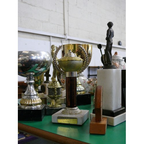 330 - A SELECTION OF VARIOUS DARTS TROPHIES