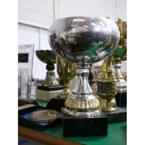 330 - A SELECTION OF VARIOUS DARTS TROPHIES