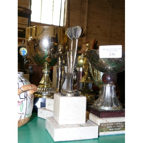 330 - A SELECTION OF VARIOUS DARTS TROPHIES