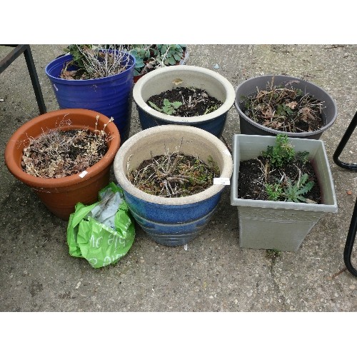 449 - 6 X GARDEN PLANTERS INCLUDING TERRACOTTA