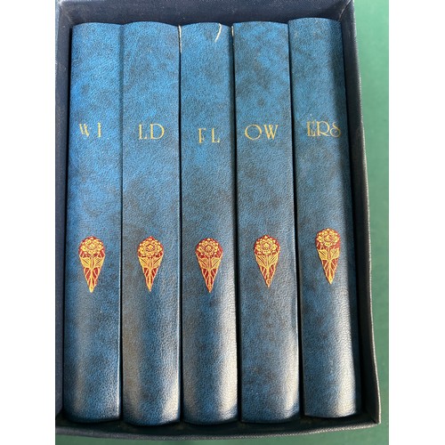 178 - A rare set of 5 19th & early 20th Century Volumes First to fifth Series of 