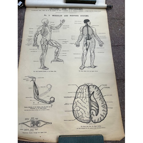 171 - A rare set of early 20th Century Anatomical prints - Illustration of First Aid to the Injured and Si... 