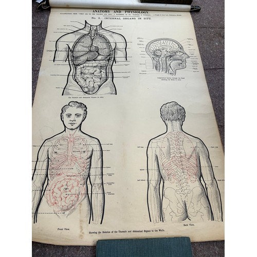 171 - A rare set of early 20th Century Anatomical prints - Illustration of First Aid to the Injured and Si... 