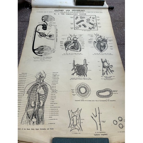 171 - A rare set of early 20th Century Anatomical prints - Illustration of First Aid to the Injured and Si... 