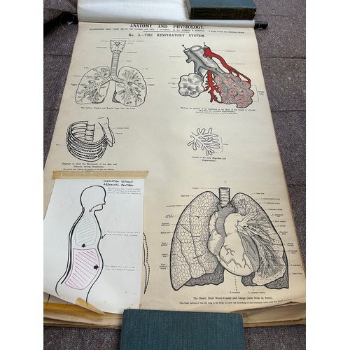 171 - A rare set of early 20th Century Anatomical prints - Illustration of First Aid to the Injured and Si... 