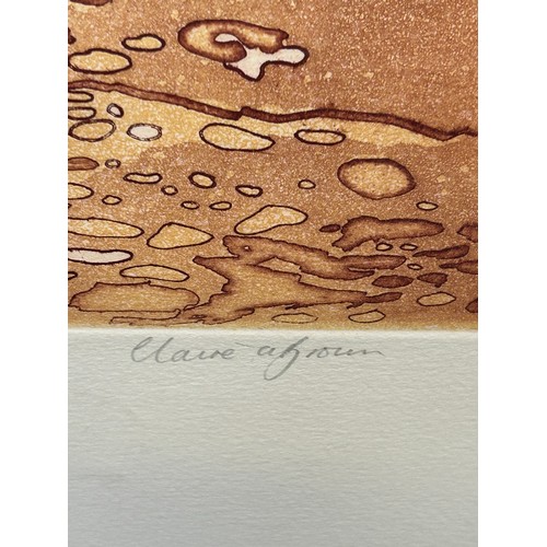 158 - Claire A Brown - Late 20th / Early 21st Century large limited edition lithographic print 