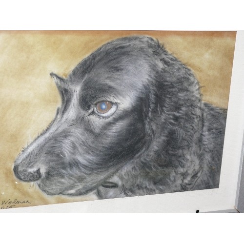 127 - A FRAMED AND GLAZED PASTEL SIGNED BY BOB WELLMAN OF A DOG