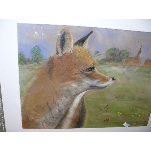 130 - A FRAMED AND GLAZED PASTEL OF A FOX BY BOB WELLMAN NOVEMBER 2015