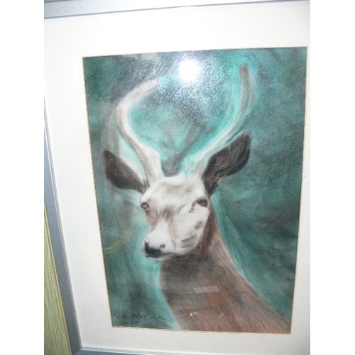 133 - A FRAMED AND GLAZED PASTEL OF A STAG SIGNED BOB WELLMAN 2015