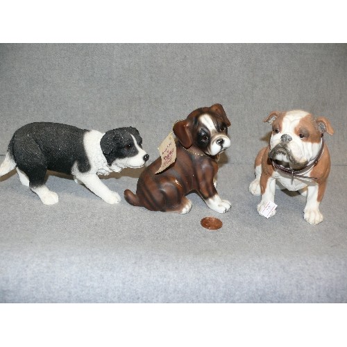 79 - HIDAMEL BOXER DOG PUP BY REGENCY FINE ARTS, ALSO A BULLDOG AND A WELSH BORDER COLLIE.