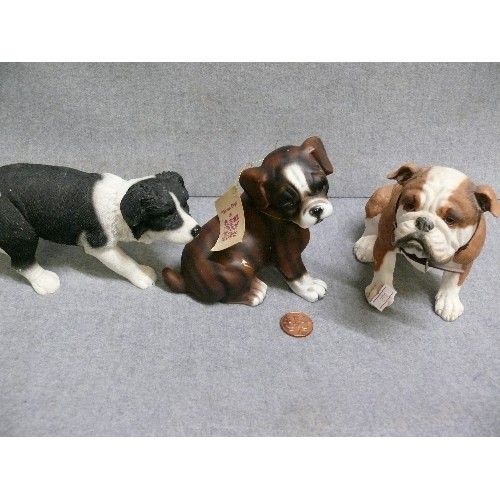 79 - HIDAMEL BOXER DOG PUP BY REGENCY FINE ARTS, ALSO A BULLDOG AND A WELSH BORDER COLLIE.