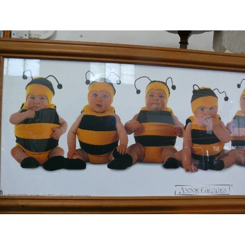 135 - ANNE GEDDES ADORABLE BUMBLE BEE BABIES PHOTOGRAPH. FRAMED/GLAZED.