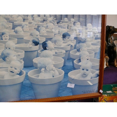 151 - LARGE ANNE GEDDES PHOTOGRAPH OF BABIES IN PLANT-POTS AT THE GARDEN CENTRE. FRAMED/GLAZED.