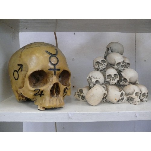 81 - AN ALCHEMY SKULL PLUS A STACK OF SKULLS