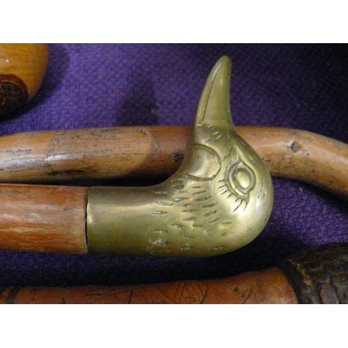 117 - A COLLECTION OF GOOD QUALITY WALKING STICKS TO INCLUDE A BRASS DUCK HEAD AND ONE WITH CARVED DRAGONS... 