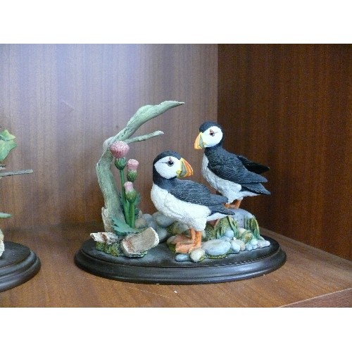 137 - PUFFIN PAIR WITH THISTLES BY COUNTRY ARTISTS PLUS A PAIR OF SONG THRUSHES WITH PLANT POT ALSO BY COU... 