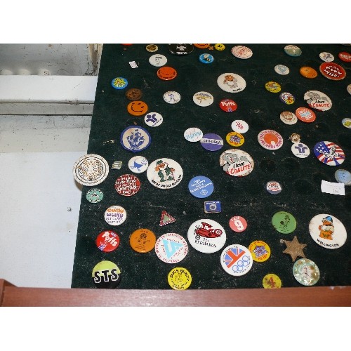 204 - DISPLAY BOARD OF COLLECTIBLE BADGES