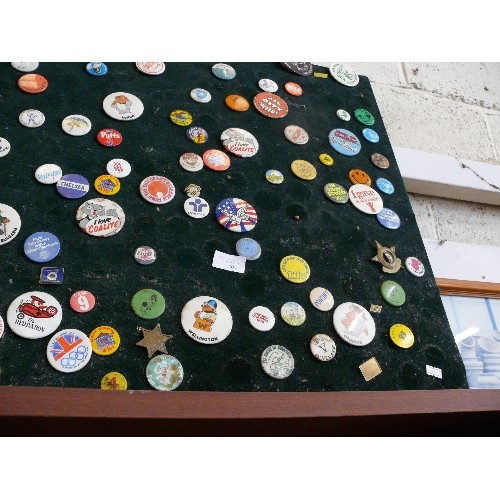 204 - DISPLAY BOARD OF COLLECTIBLE BADGES